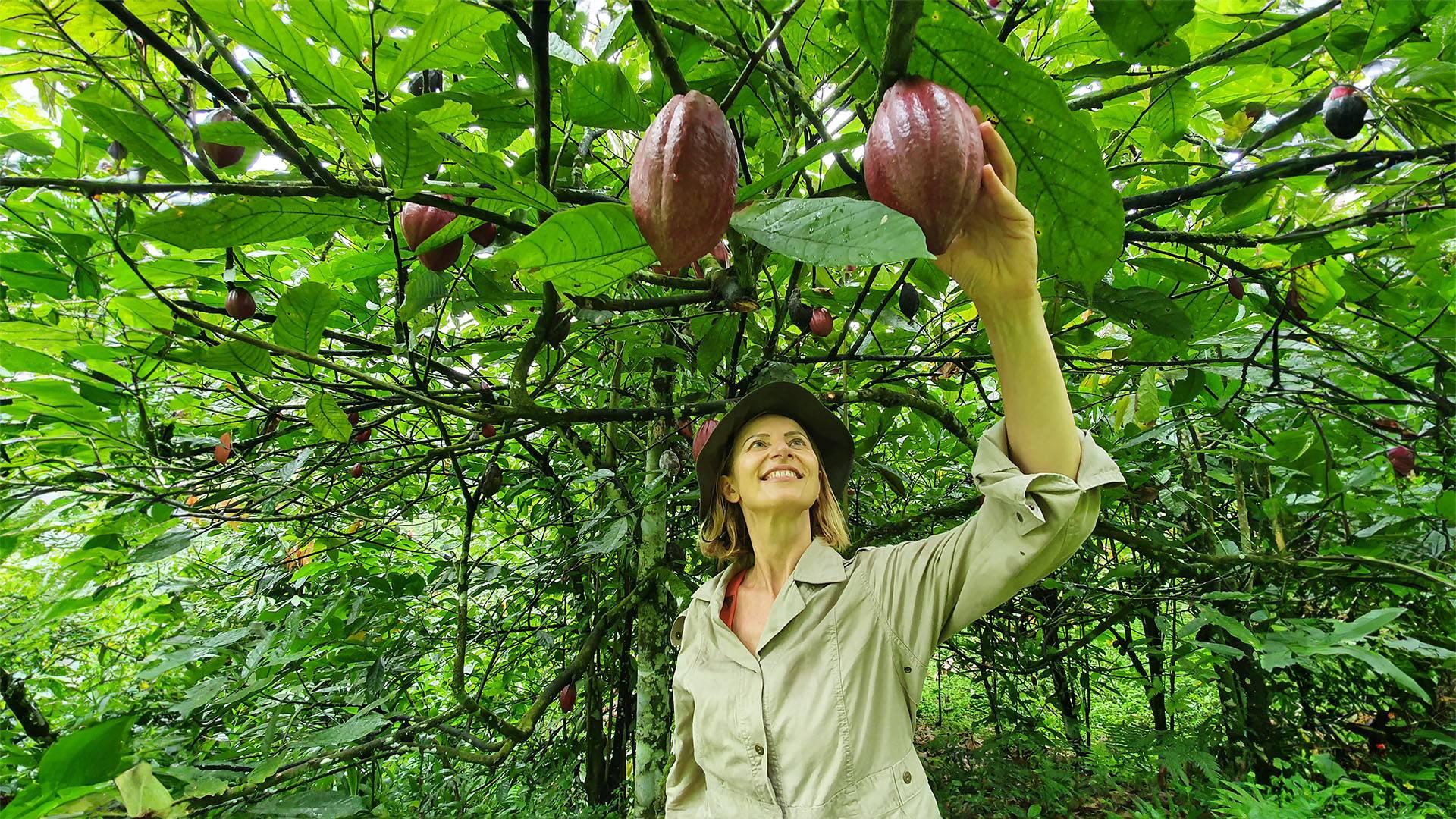 L'Expérience dégustation Cacao & Chocolat !