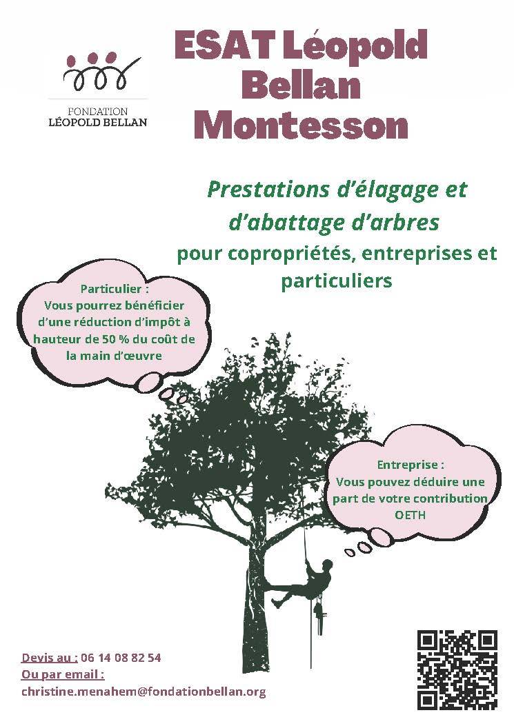 Prestations d'élagage et d'abattage d'arbres pour entreprises et particuliers - Les Ateliers de l'ES
