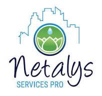 NETALYS SERVICES PRO