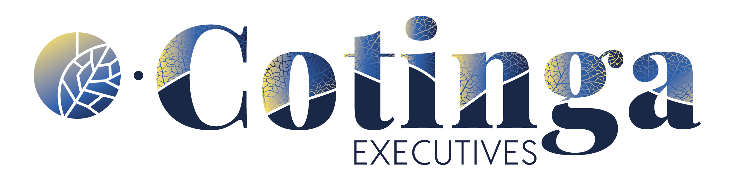 COTINGA EXECUTIVES